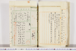 明い020000190003.jpg