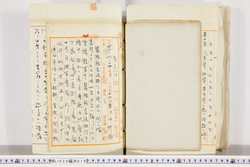 明い020000190004.jpg