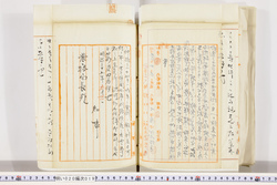 明い020000190008.jpg