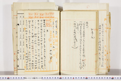 明い020000200118.jpg