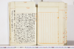 明い020000240062.jpg