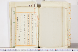 明い020000240067.jpg