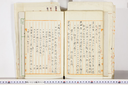 明い020000240074.jpg