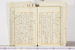 明い020000240077.jpg