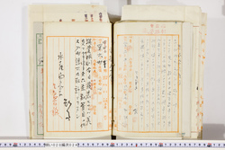 明い020000240085.jpg