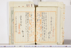 明い020000240086.jpg