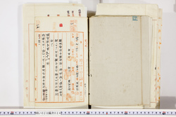 明い020000240090.jpg