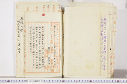 明い020000250004.jpg