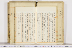 明い021000100015.jpg