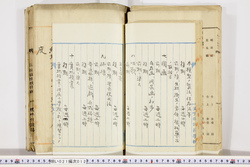 明い021000120012.jpg