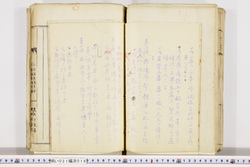 明い021000160005.jpg