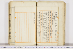 明い021000170002.jpg