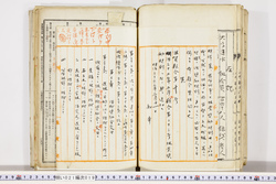 明い021000190002.jpg