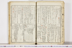 明い021000190011.jpg
