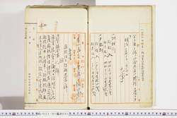 明い022010010002.jpg