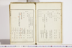 明い022010020005.jpg