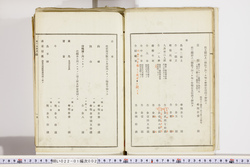 明い022010020006.jpg