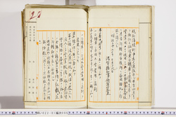 明い022010050002.jpg