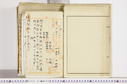 明い022010060005.jpg