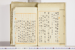 明い022010070002.jpg