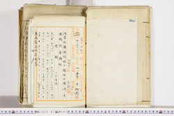 明い022010070005.jpg