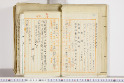 明い022010070006.jpg