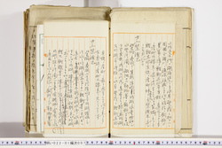 明い022010070007.jpg