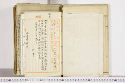 明い022010070010.jpg
