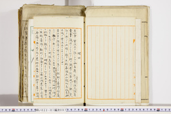 明い022010070011.jpg