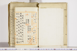 明い022010070013.jpg