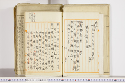 明い022010070014.jpg
