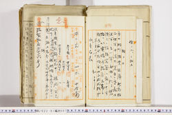 明い022010070016.jpg
