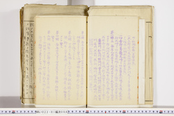明い022010080004.jpg