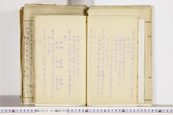 明い022010080005.jpg