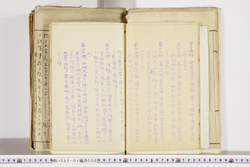 明い022010080006.jpg