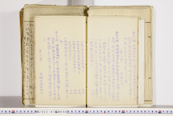明い022010080007.jpg