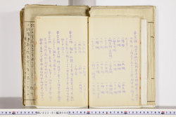 明い022010080008.jpg