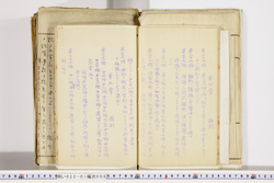 明い022010080009.jpg
