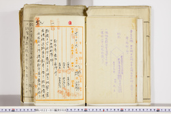 明い022010080010.jpg