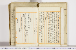 明い022010090002.jpg