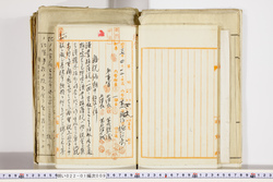 明い022010090006.jpg