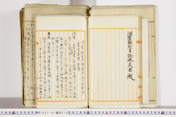 明い022010100011.jpg