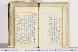 明い022010100015.jpg