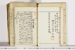 明い022010100019.jpg
