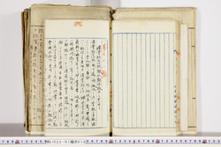 明い022010100022.jpg