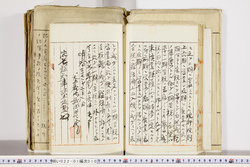 明い022010100024.jpg