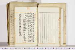 明い022010100025.jpg