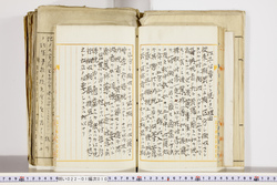 明い022010100026.jpg