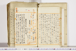 明い022010100030.jpg