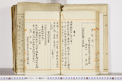 明い022010110003.jpg